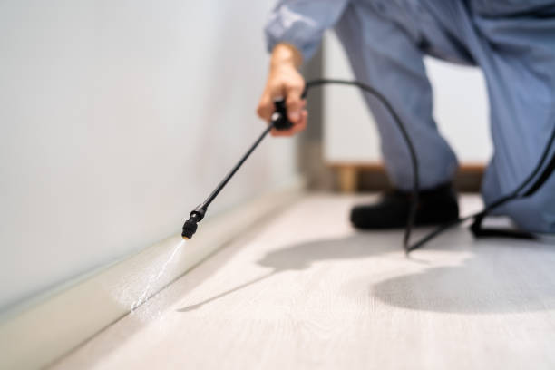 Licensed Termite Control service in Port Monmouth, NJ - Nex Pest Control