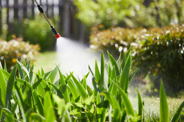 24/7 Emergency Termite Control experts in Port Monmouth, NJ