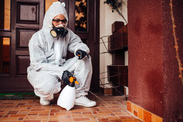 Reliable Termite Control contractor in Port Monmouth, NJ by Nex Pest Control